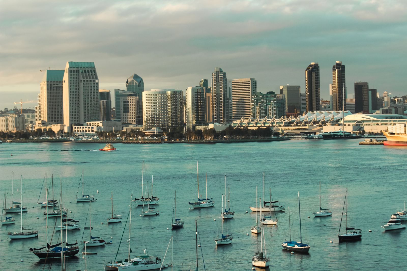 San Diego skyline above a bay full of sailboats, among the best cruise ports in the US